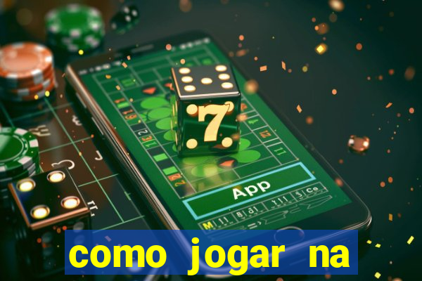 como jogar na lotinha do jogo do bicho